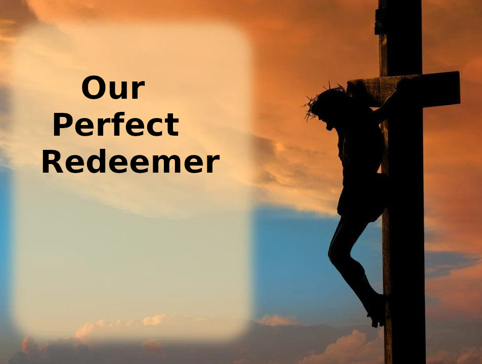 Our Perfect Redeemer