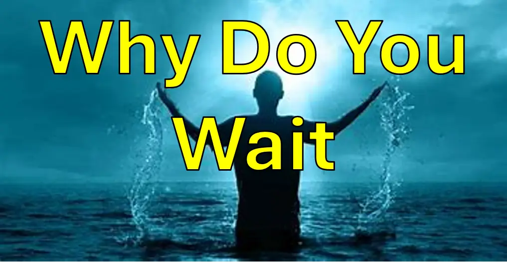 Why Do You Wait?