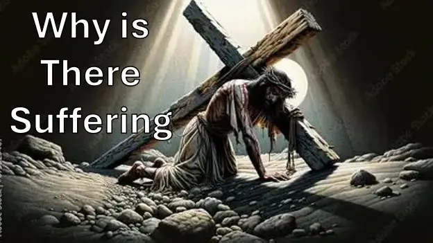 Why Is There Suffering