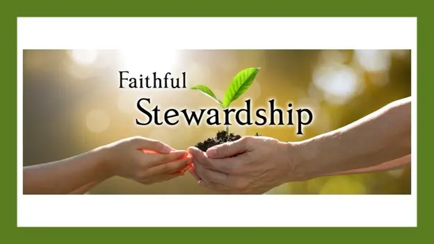Faithful Steward 2